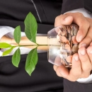 Изображение капчи